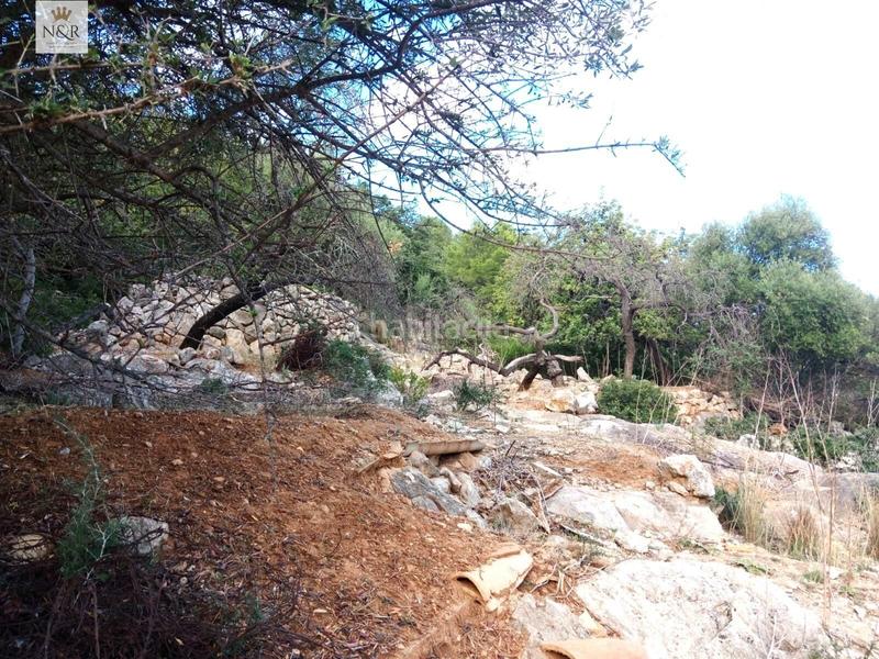 Foto cc9e0ea9-af5a-412c-83f7-d484c173ceed. Bauernhof in Selva