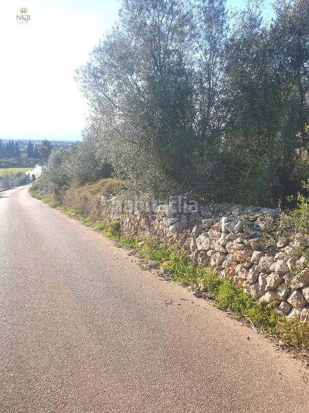 Foto 6a80daf5-4102-4c56-87d4-409fe7d6ba93. Finca rústica a Muro