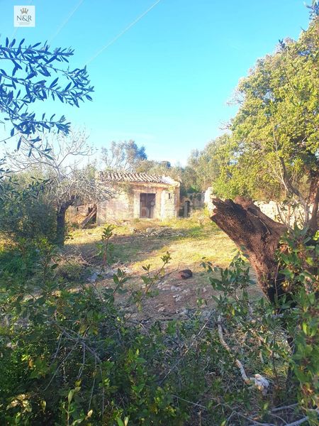 Foto a8c3b66b-7d8d-4b3b-a931-ddc9716bc577. Finca rústica a Muro