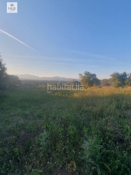 Foto 1041ceef-069f-4e8e-a44e-79a84af2e6ea. Finca rústica a Llubí