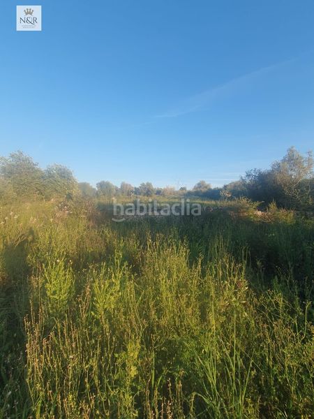 Foto 26fa66be-6110-45bc-80bc-df2da3eeb70e. Finca rústica a Llubí