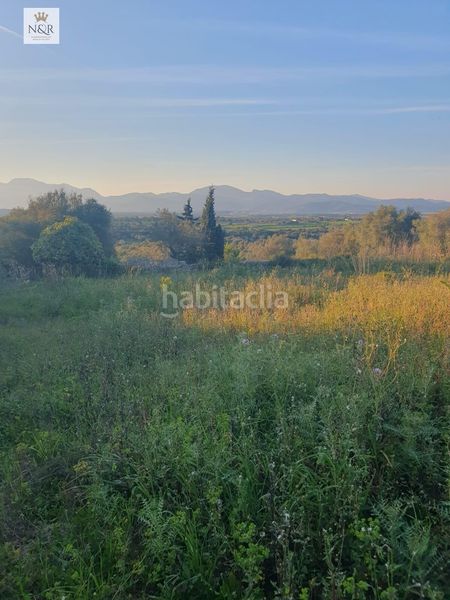 Foto 28d8e9e4-dedc-4ecf-81cc-0f61b2320d68. Finca rústica a Llubí