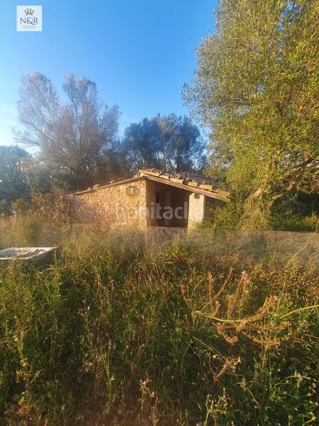 Foto 372e0ba5-faad-4a46-8677-66cfab81da11. Finca rústica a Llubí