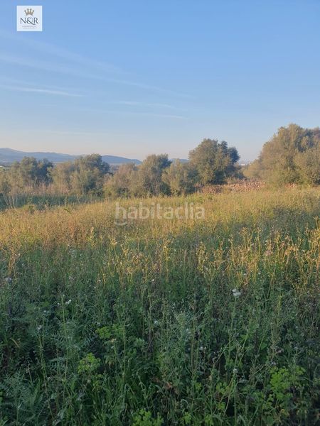 Foto 52f38349-0129-423d-83a6-e73803952f45. Finca rústica a Llubí