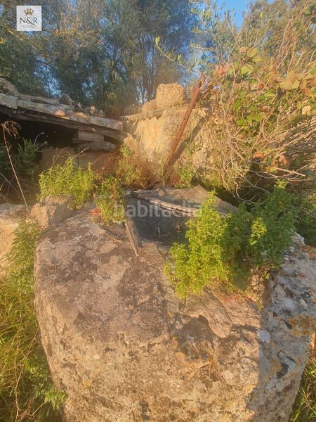 Foto 5a4b1a3b-cee1-4c68-a6ca-091bf97d626f. Finca rústica a Llubí