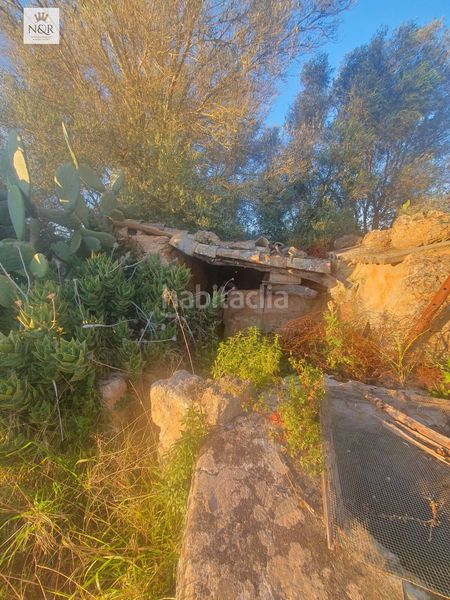 Foto 62c44dbb-288f-43a9-bc7c-f97a92912247. Finca rústica a Llubí