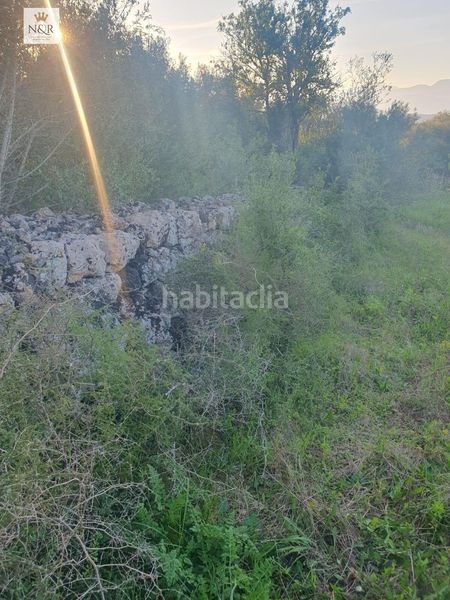 Foto 64bdd95e-93c0-4d35-b2dc-7b75bb4421d4. Finca rústica a Llubí