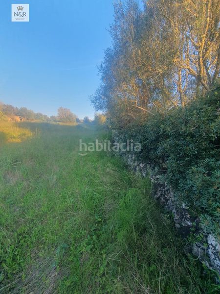 Foto 725d905e-c030-4353-a2c7-893539874f31. Finca rústica a Llubí