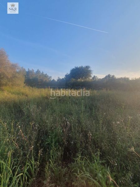 Foto 80973059-2e67-4d49-bf7d-58def6db497e. Finca rústica a Llubí