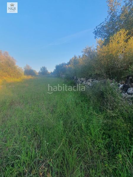 Foto 9108625d-09ec-4261-bf00-22641a29c656. Finca rústica a Llubí