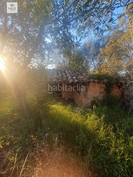 Foto bd8da35f-2b44-443c-a7a9-1734d879ef46. Finca rústica a Llubí