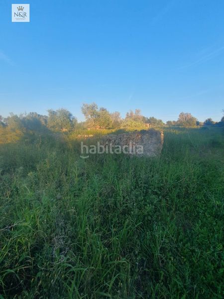 Foto bfa783bb-8185-484e-babe-f320a8da8e31. Finca rústica a Llubí