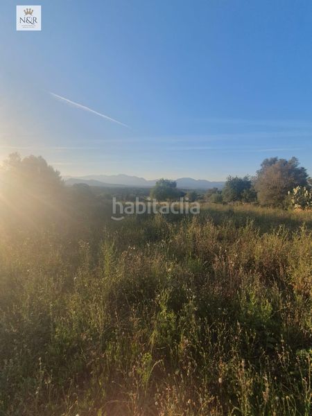 Foto d11c6195-991b-4ef4-92aa-ce8c7705a232. Finca rústica a Llubí