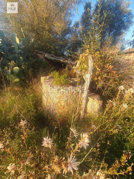 Foto de98fb4f-4b95-49df-a3fe-0f4acc29feae. Finca rústica a Llubí