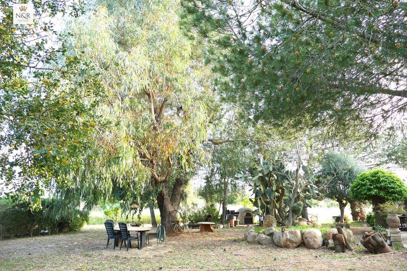 Foto b50a7cd5-9379-4971-ad4f-b8e7c262c21e. Masia a Santa Eugènia