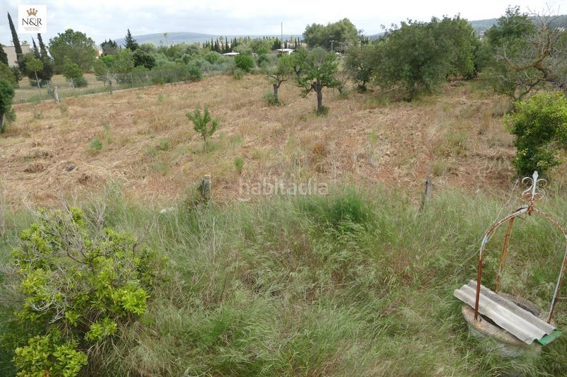 Foto d9ab293c-c964-4284-8dfa-8e9a99629bde. Masia a Santa María del Camí