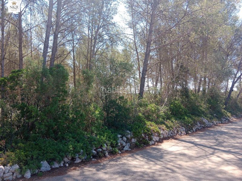 Foto a4e6e7da-6a1f-49c2-a196-221708c3c7df. Finca rústica finca con pinar en Costitx