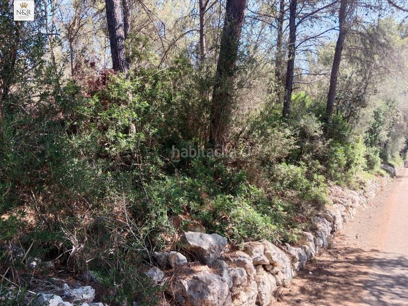 Foto df501028-8438-47a0-8bd7-a75c15d851bc. Finca rústica finca con pinar en Costitx