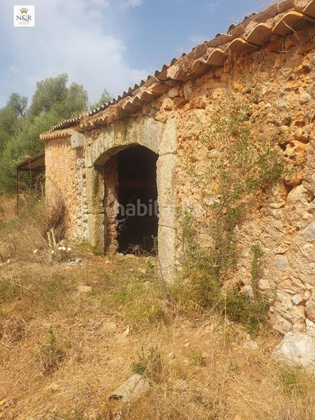 Foto 0290c407-be5f-4c54-aa66-5a833efec5d6. Masia a Sencelles