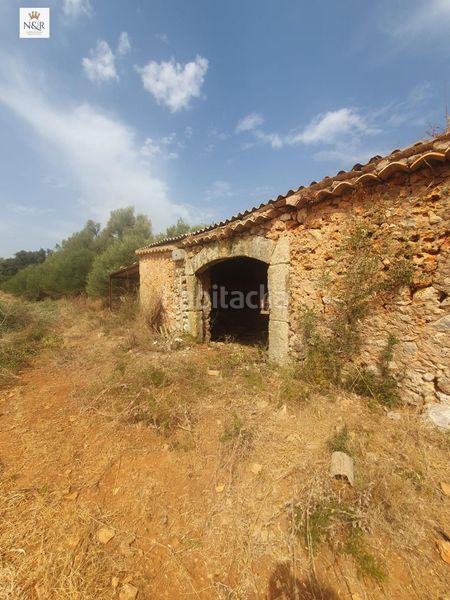 Foto 193276dd-ef4f-42c6-8e37-cc9425d1c379. Masia a Sencelles