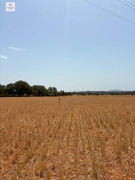 Foto 26c3a61e-fd45-4949-b864-cff950e2745a. Masia a Sencelles
