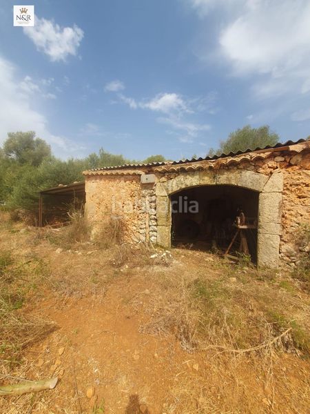Foto 3b96d76c-3961-4084-9cd9-62f2184aaf88. Masia a Sencelles