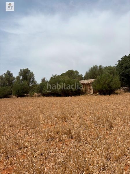 Foto 4021d665-0f71-4d72-97da-edfe9143b42e. Masia a Sencelles