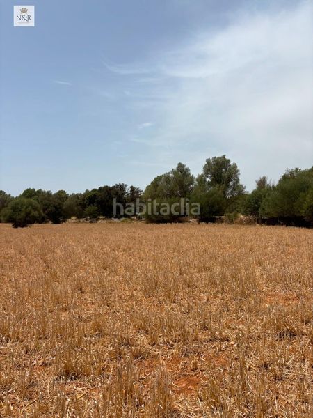 Foto 989c0c13-e77d-489e-a431-e0b0a46e16ee. Masia a Sencelles