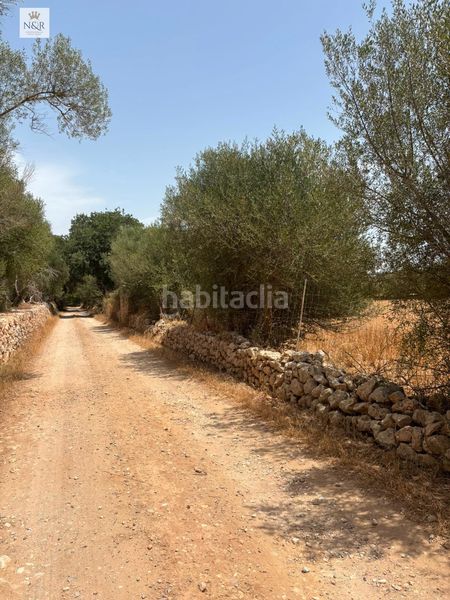 Foto b824936f-56c0-4118-8ee6-2f0bc7eb65c5. Masia a Sencelles