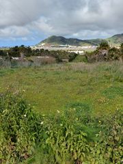 Finca r�stica en Camino rodeo alto. Terreno agrario en el camino , el rodeo . la laguna.