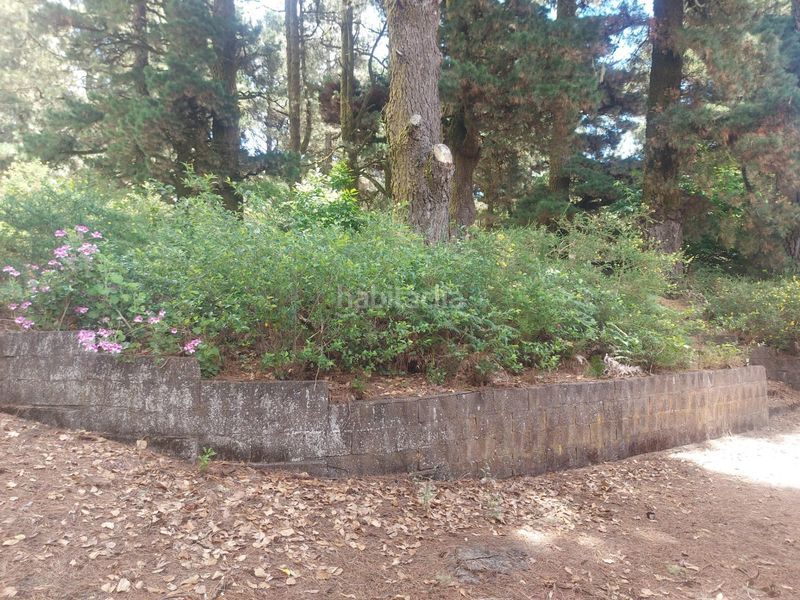 Foto 37b18b6d-29b4-4931-933f-35d269d03d85. Bauernhof mit heizung in Sauzal (El)
