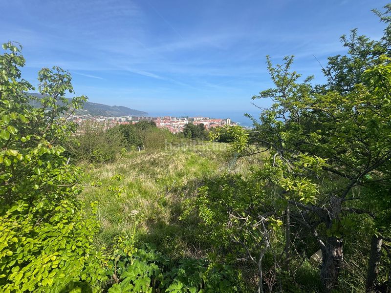 Foto c34b96a0-9e83-47b5-b45f-79e0e32c70a2. Finca rústica terreno rustico de 1.500m2 con caseta de 20m2 en Bermeo