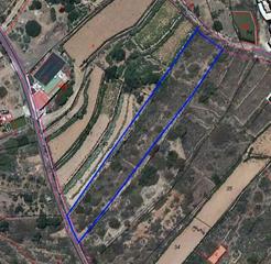 Finca rstica en Arafo. Terreno rstico de 2.000 m2 en arafo
