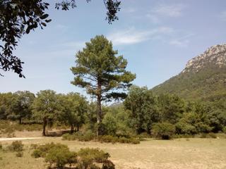 Finca rústica a A-319 49. Rústico de 5.389 m2. en plena sierra de cazorla, en arroyo frio