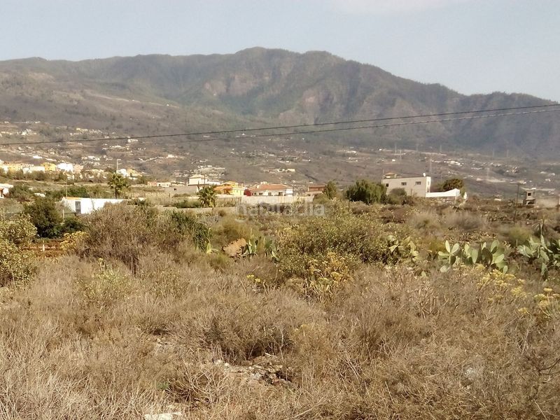Foto aa08e573-987c-4550-ba3a-ef5f6b6d2088. Finca rústica a Centro Güímar