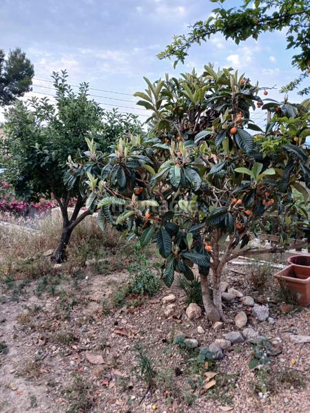 Foto a99a745d-b286-4f19-928b-ac13f8e7776c. Haus mit pool in Vespella de Gaià
