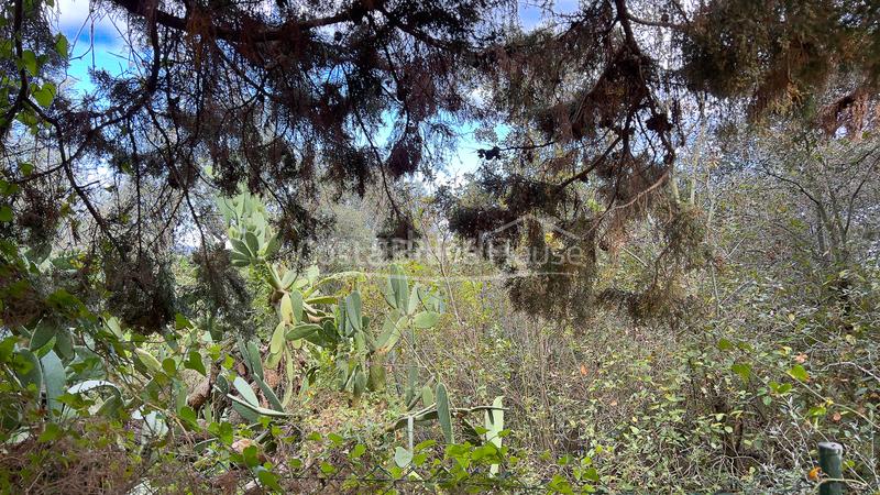 Foto 01ec4d31-e936-42ef-aa19-8decf0cd4e00. Terrain résidentiel dans Mont-ras