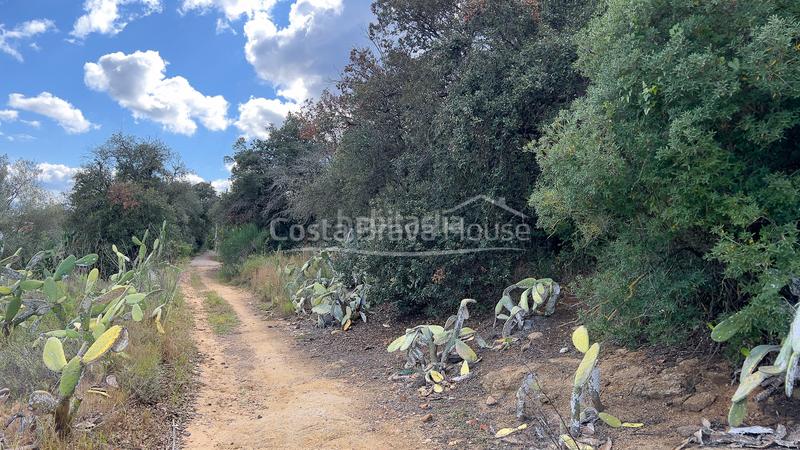 Foto 96542610-2634-4aeb-9476-4514ec1b3582. Terrain résidentiel dans Mont-ras