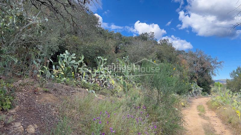 Foto b85665da-1ae2-4b6a-9acf-4f2766107ccb. Terrain résidentiel dans Mont-ras