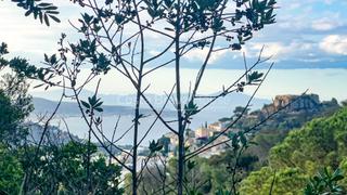 Terreny residencial  Carrer pere serrabella. Terreno edificable de 607 m con vistas el mar, en zona prestigio