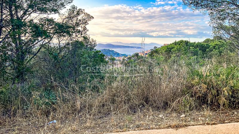 Foto 5e1887d6-c335-420b-8df5-568edc50040c. Terreno residenziale in Begur Begur
