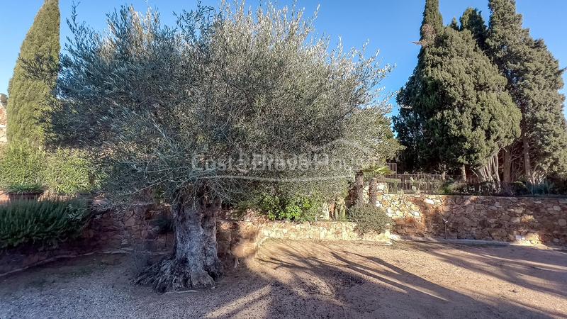 Foto 8987c832-a08c-451b-b6b2-08514b1721e5. Masía acogedora casa de campo renovada con gusto en venta en montrás en Mont-ras