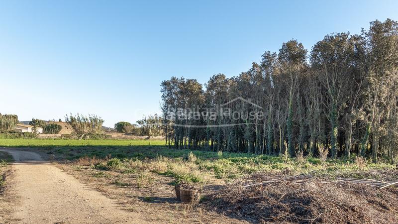 Foto 3cbabc71-9b41-4ba5-99e1-91ea60d4a04f. Masia amb calefacció aparcament piscina a Molí de Vent-La Sauleda Palafrugell