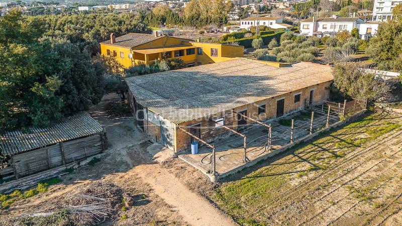 Foto 4c06cc04-66e4-4ad9-bb77-023a84ce2526. Masia amb calefacció aparcament piscina a Molí de Vent-La Sauleda Palafrugell