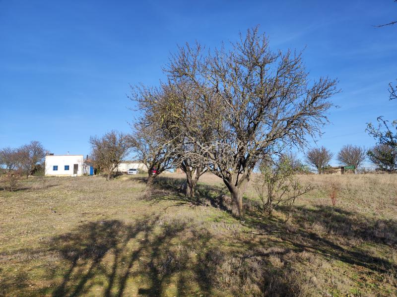 Foto a2d7479b-0262-48ab-9f5f-959018cf6449. Bauernhof in carretera autilla 37 in Allende el Río Palencia