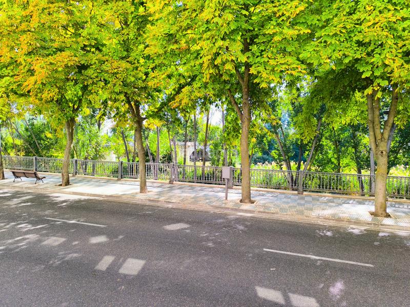 Foto bac7f627-654d-4fdb-be1c-1f820a35aa92. Ground floor with heating parking in Centro Palencia