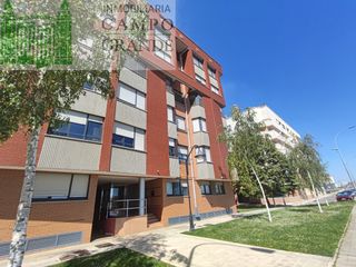 Lloguer Planta baixa  Avenida derechos humanos