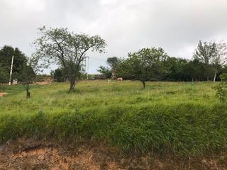 Residential Plot in Calle san justo 38. Oportunidad !parcelas edificables en san justo villaviciosa. 1.0