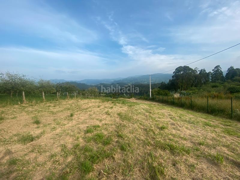 Foto a49152ee-f0ab-41b7-8fe7-a7805516b99e. Wohngrundstück in vv-9 1 in Parroquias suroccidentales Villaviciosa