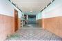 Ampliar foto 0fa3448b-f82b-42e9-8043-36d66a9acd7a.jpg